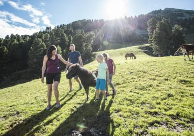 Wanderbares-Oetztal